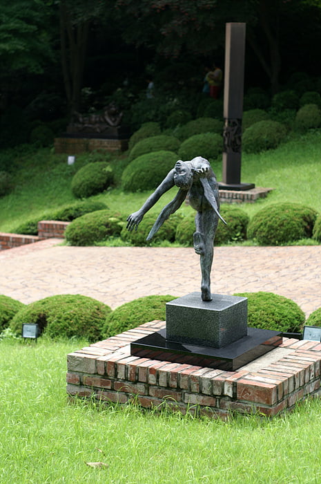 사용자 삽입 이미지