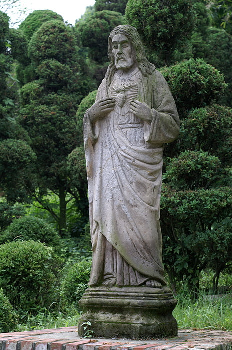 사용자 삽입 이미지