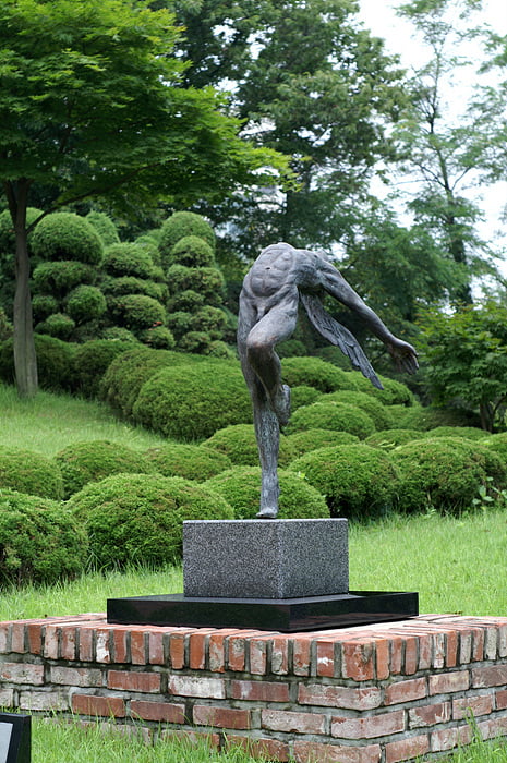 사용자 삽입 이미지