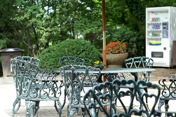 사용자 삽입 이미지