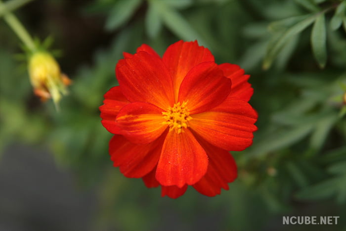 사용자 삽입 이미지