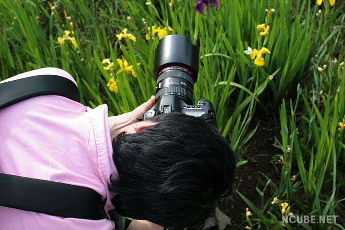 사용자 삽입 이미지