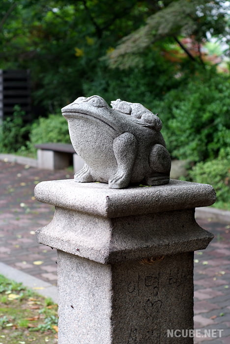 사용자 삽입 이미지