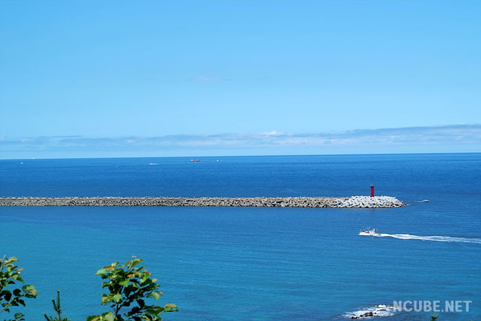 사용자 삽입 이미지