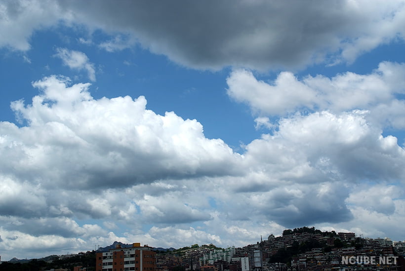 사용자 삽입 이미지