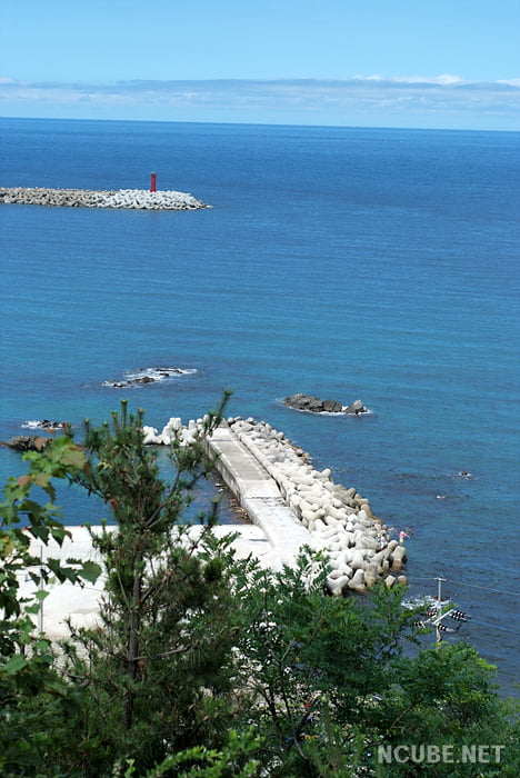 사용자 삽입 이미지