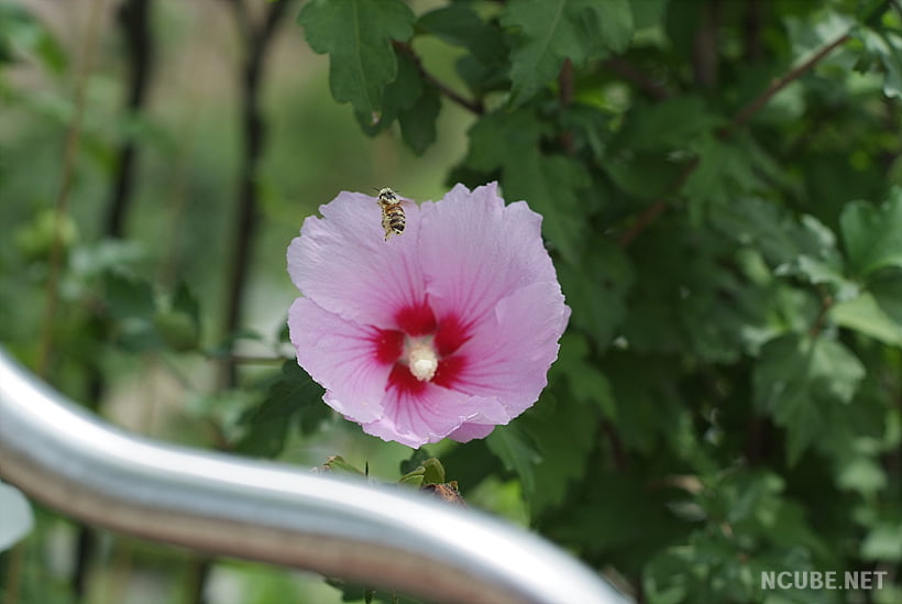 사용자 삽입 이미지