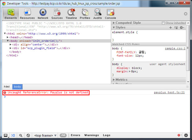 Payplus is not defined Erro